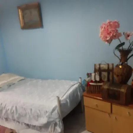 162 Rruga Siri Kodra Albania *